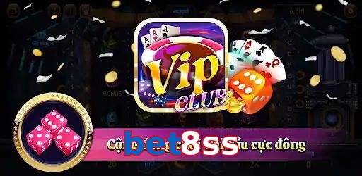 bet8ss